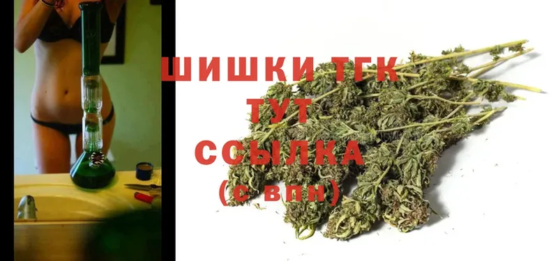 Шишки марихуана THC 21%  Жиздра 